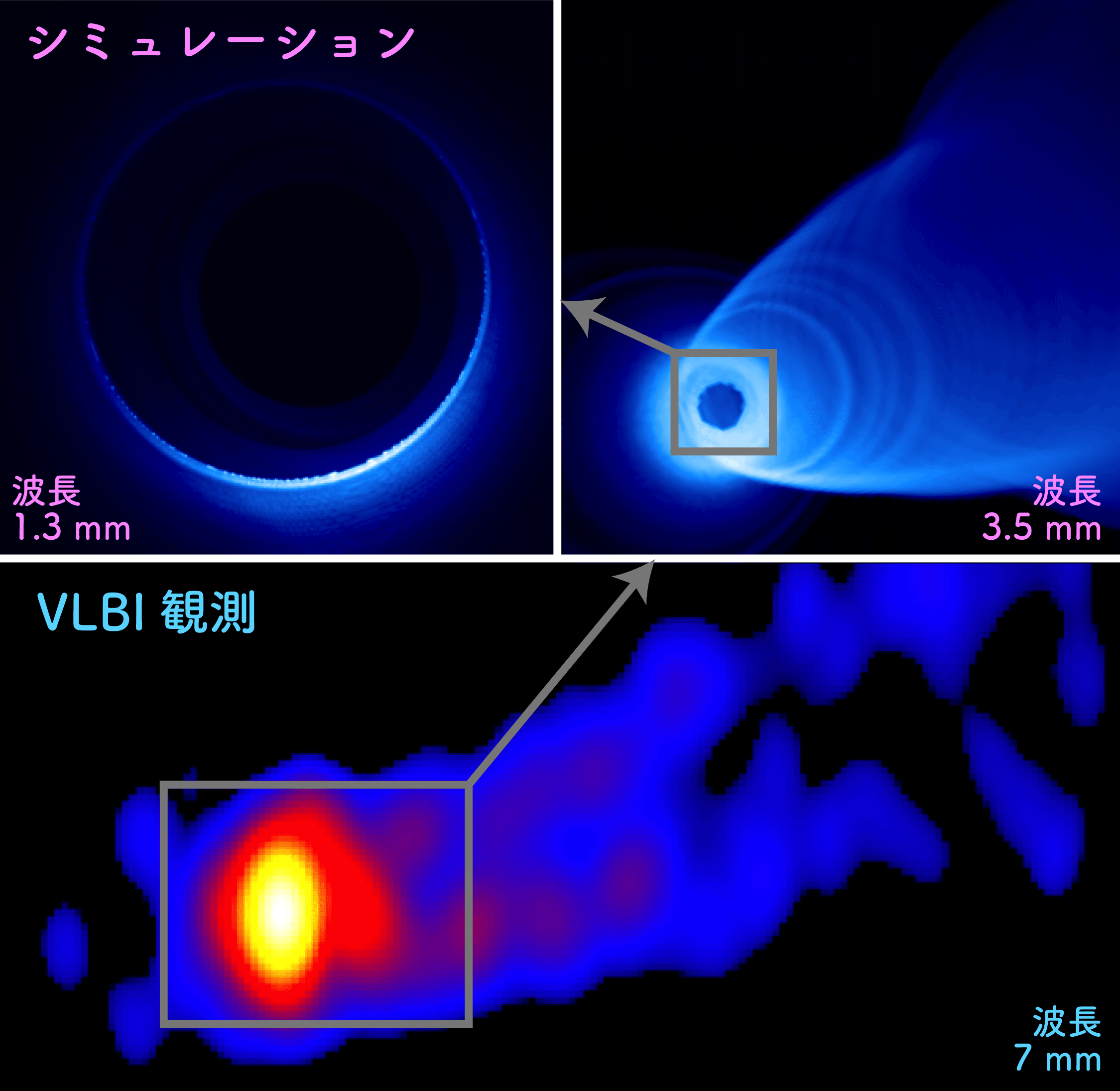 地球規模の望遠鏡とスーパーコンピュータで，ブラックホールの素顔に