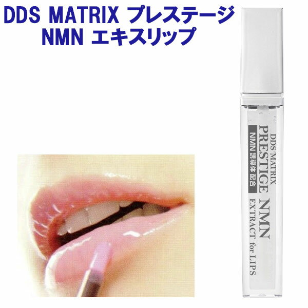 楽天市場】ddsマトリックス リップの通販