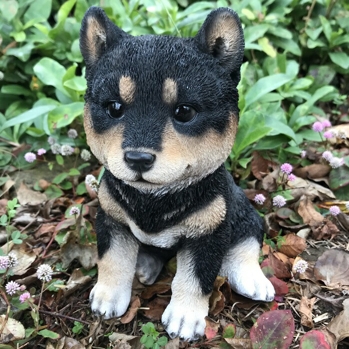 楽天市場】【野川農園】豆柴（黒）(13184)H=21cm犬 犬置物 ワンコ