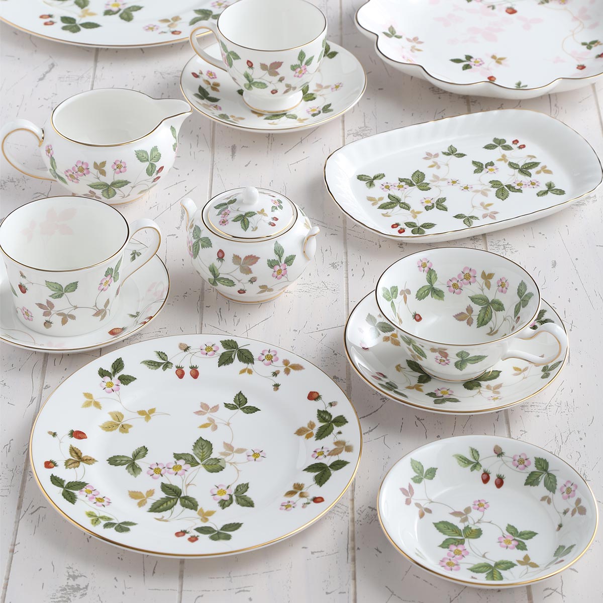 楽天市場】【2/25限定 P10倍】ウェッジウッド (Wedgwood) ワイルド