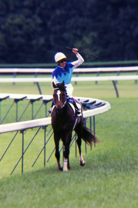 名手の英断。ゴールまで50mでの逆転。 - 1999年日本ダービー