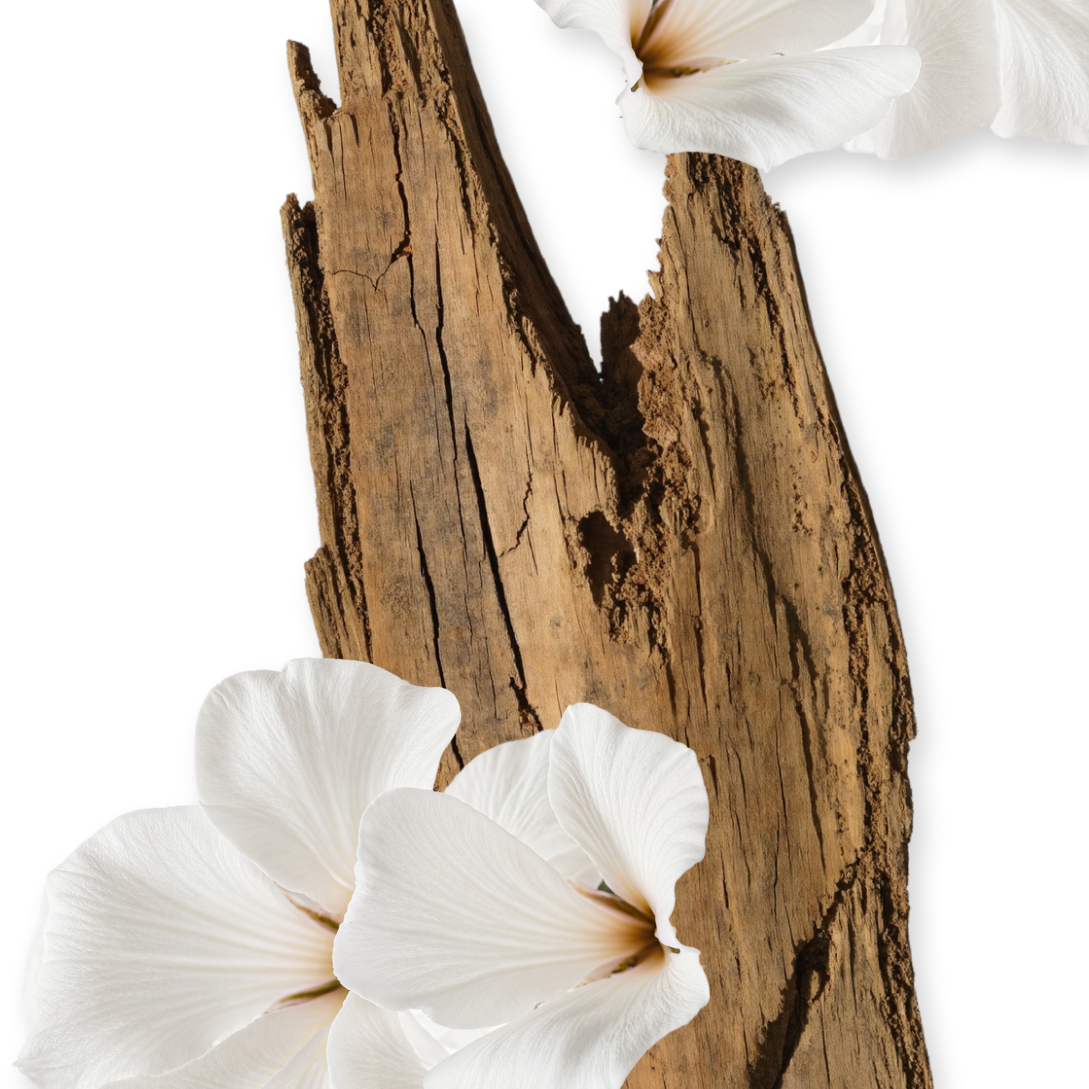 Valaya Eau de Parfum (75ml) - Parfums de Marly Official Website