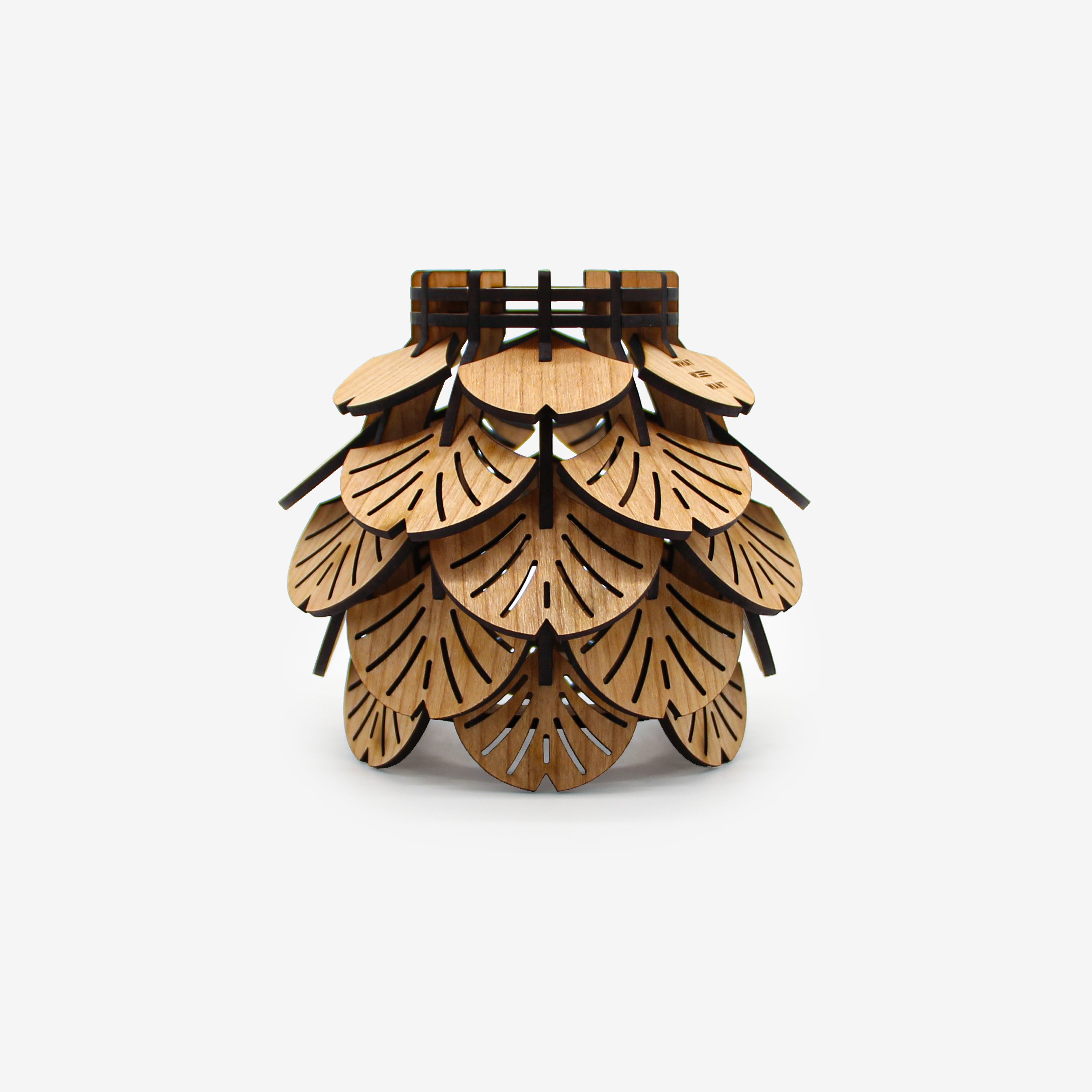 TYPE2_6c211a6f-5656-412f-8249-