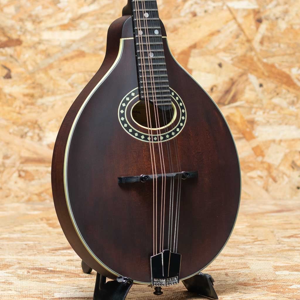 Mandolin（マンドリン）一覧 | | 三木楽器公式通販サイト