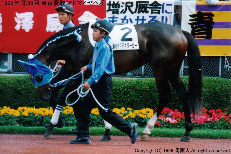 東京優駿(Japan Derby)：蔵出し写真3 1999年 アドマイヤベガ｜馬画人