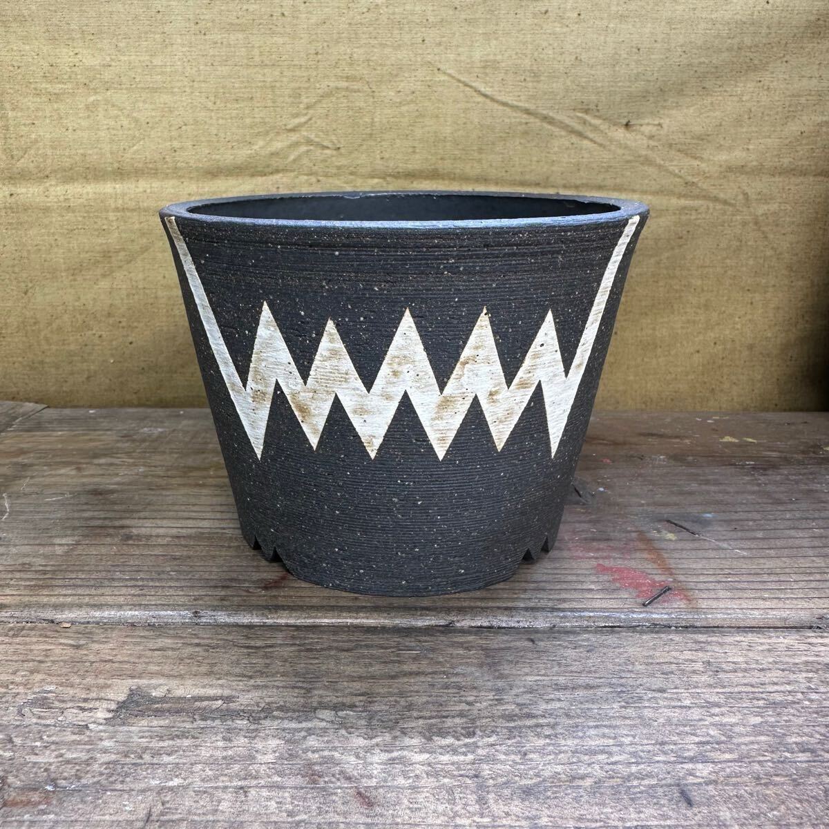 Yahoo!オークション -「インビジブルインク 鉢」(花、園芸) の落札相場