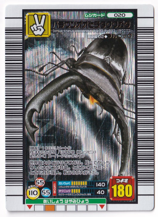 Yahoo!オークション - パラワンオオヒラタクワガタ 020 キラ ムシカー