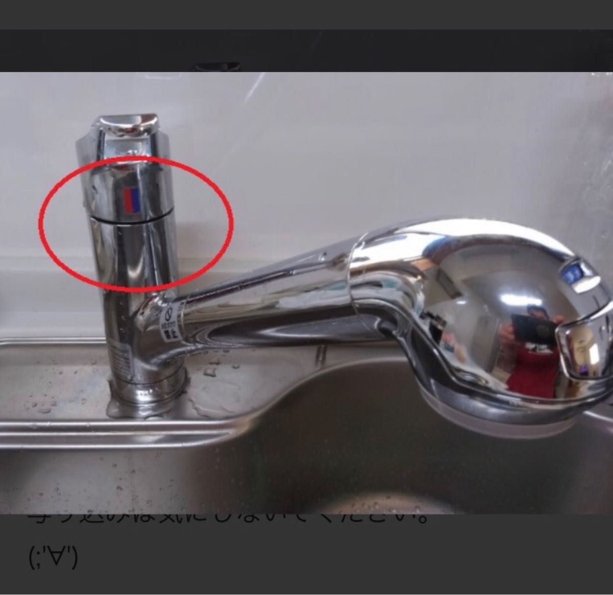 タカギ蛇口一体型浄水器カートリッジ JA JX JH JGシリーズ対応 2個