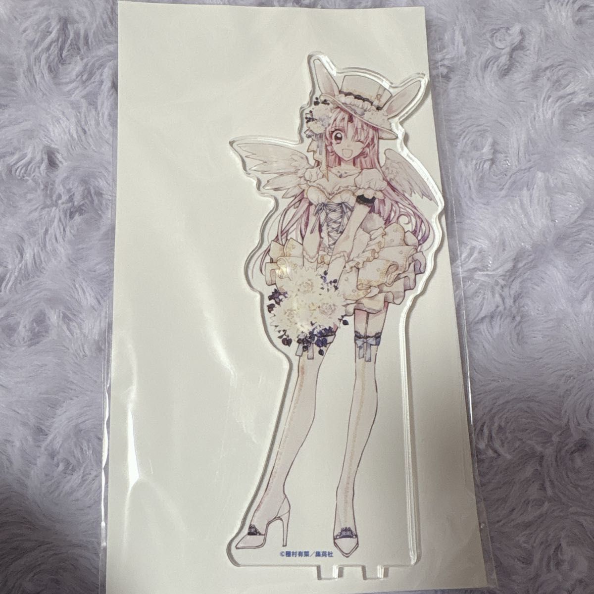 種村有菜 満月をさがして めろこ アニメイトカフェ アクリルスタンド