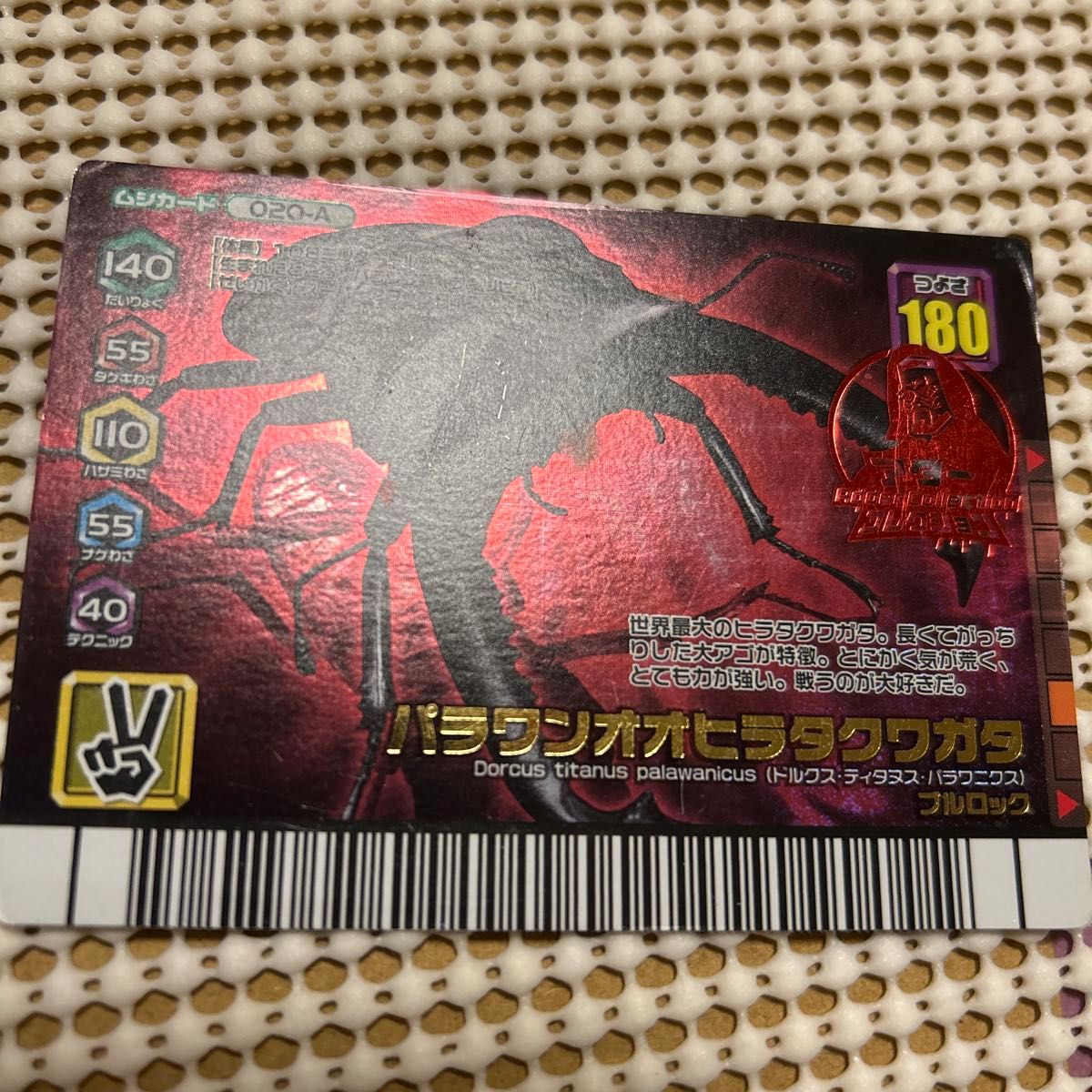 ムシキング パラワンオオヒラタクワガタ アダーコレクション｜Yahoo