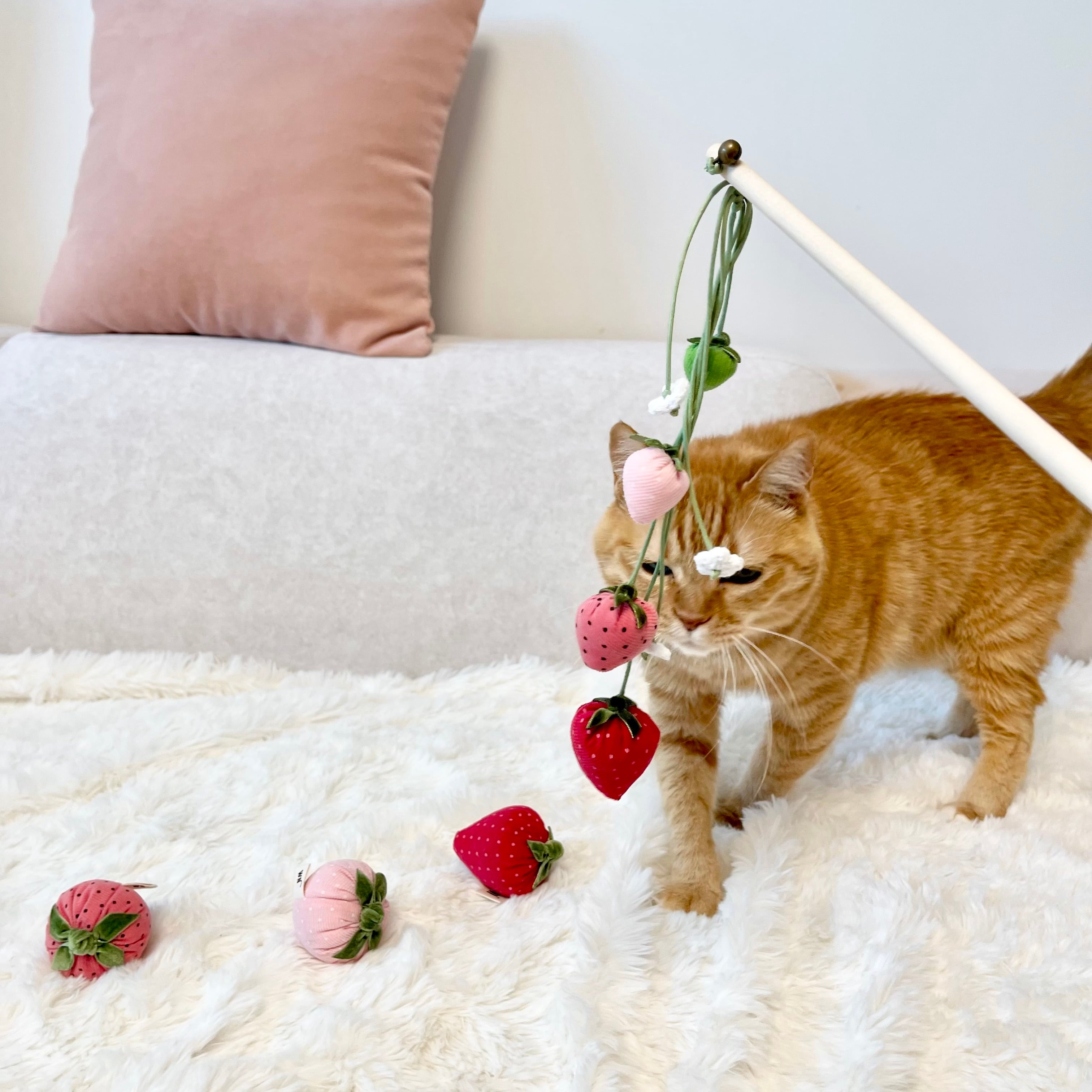 strawberry rod from WETNOSE 猫じゃらし いちご 猫 おもちゃ