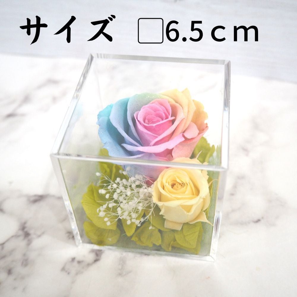 名入れギフト】プリザーブドフラワー レインボーローズ パステルカラー