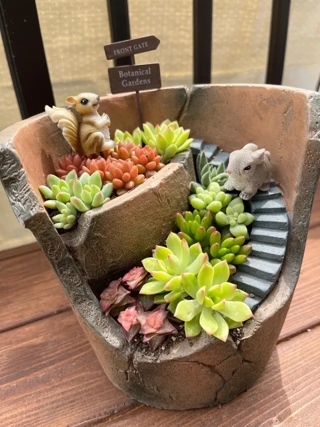 多肉植物の寄せ植え | CAINZ DIY Square