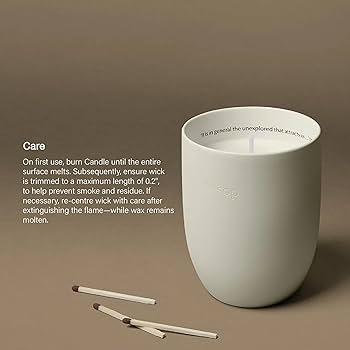 Amazon.co.jp: Aesop イソップ プトレミー アロマティック キャンドル
