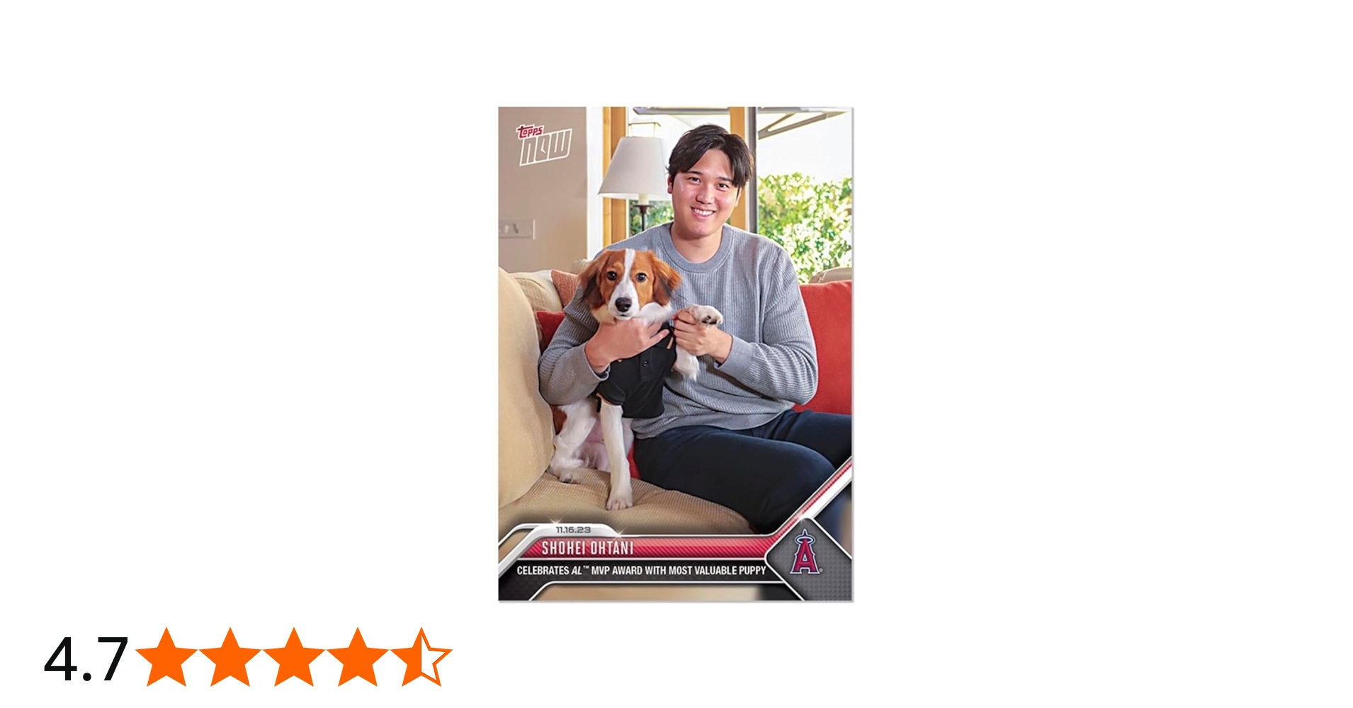 Amazon.co.jp: 【限定品】大谷翔平 MVPカード デコピン : スポーツ