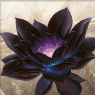 マジック・ザ・ギャザリング』“ブラック・ロータス”初版が1,800万円を