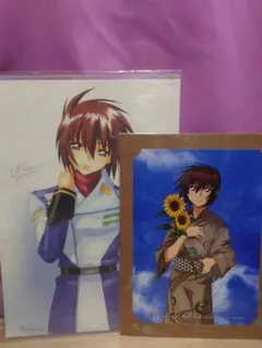 2026年最新】seed ミニポスターの人気アイテム - メルカリ