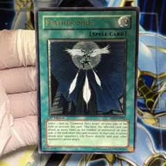 2026年最新】フェザーショット レリーフの人気アイテム - メルカリ