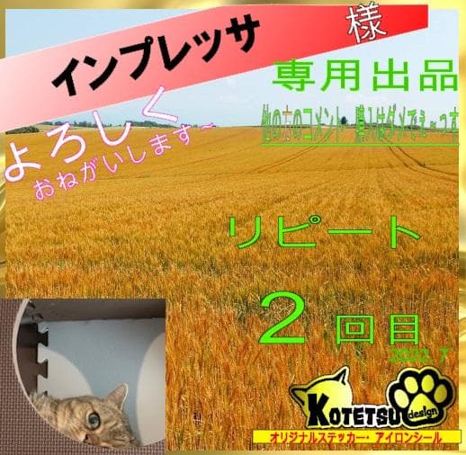 インプレッサさま　専用　リピ２回目　カッティングステッカー インプレッサさま 専用 リピ2回目 カッティングステッカー