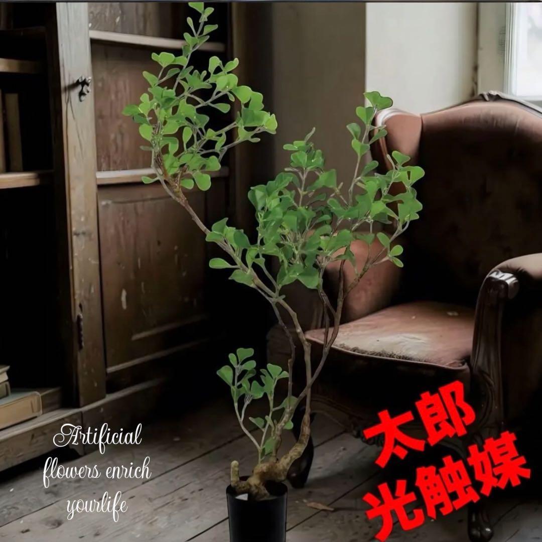 光触媒　人工観葉植物　フェイクグリーン　フィカストライアンギュラスpo 楽天市場】トライアンギュラス フェイクグリーン planeco H160cm KERN