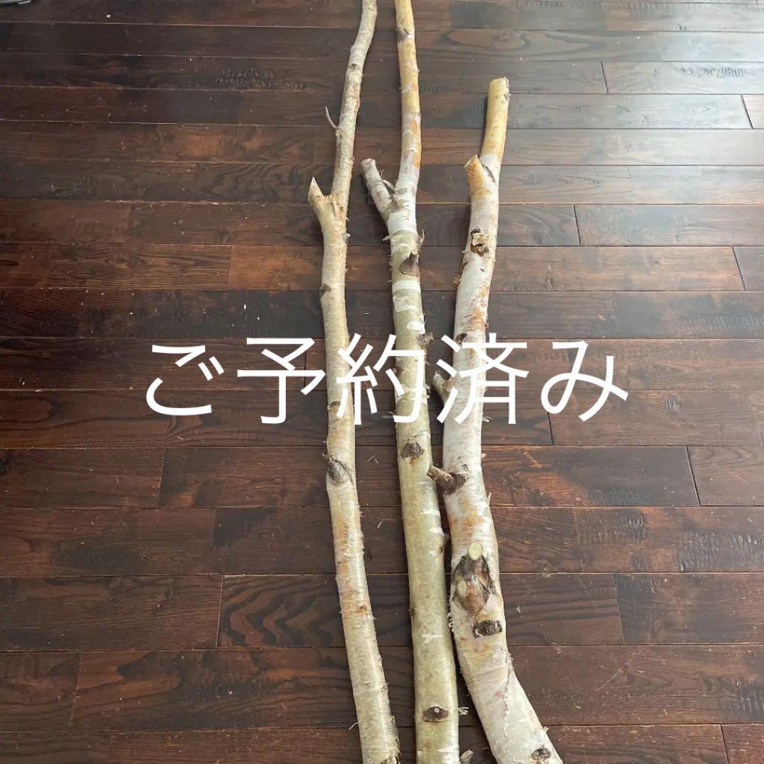 北海道　白樺の木　店舗用インテリア　雑貨　ディスプレイ ディスプレイ白樺薪|木のアートARBO（アルボ）