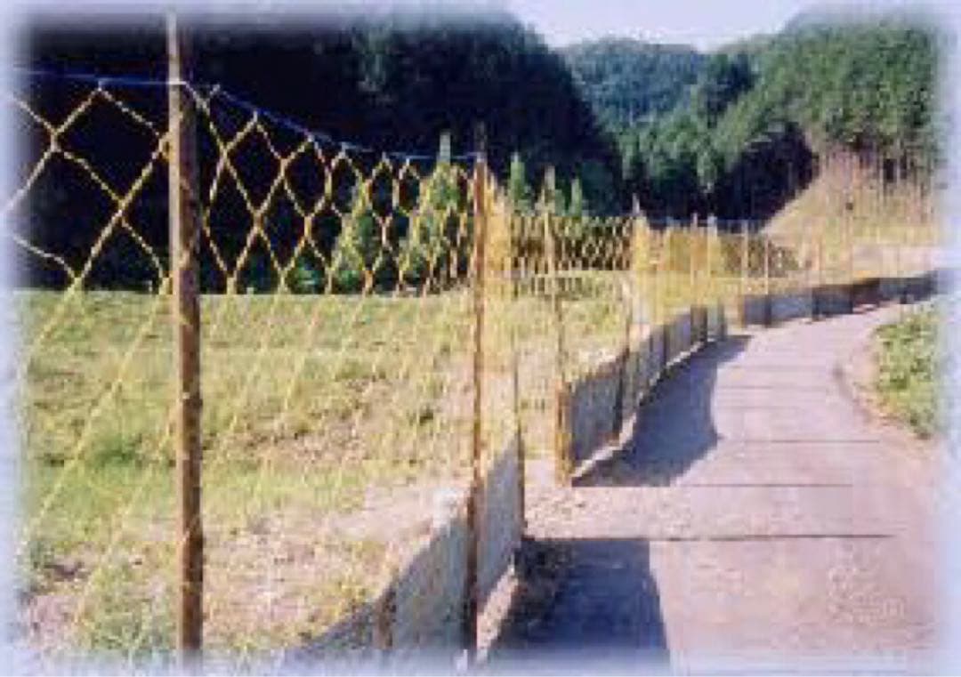 ☆特価☆海苔網☆20枚害獣防止網☆ ベランダネット☆畑☆の通販はau